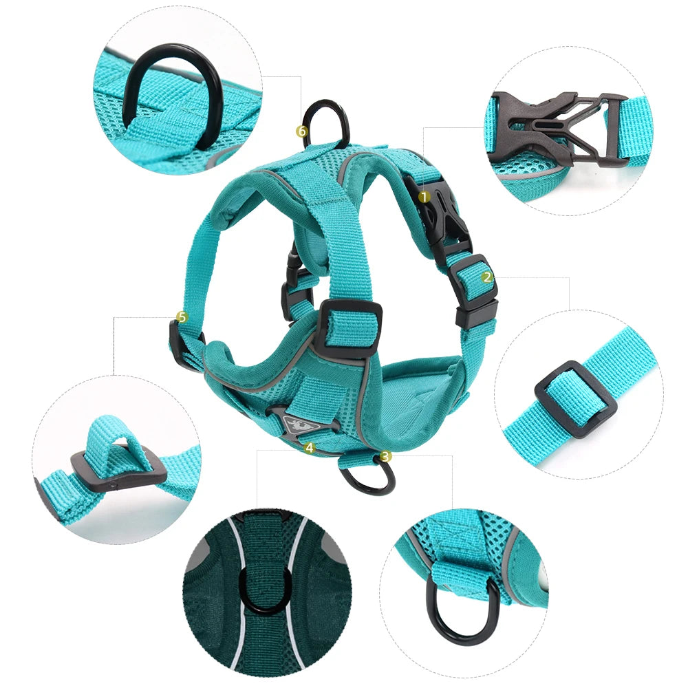 Reflective cat harness and leash set in breathable mesh nylon, adjustable turquoise pet harness for small cats and dogs