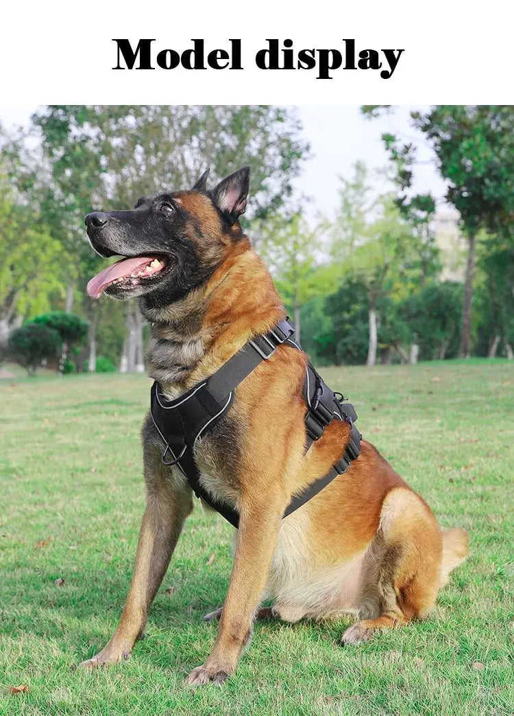 Model display of tactical dog harness on a German Shepherd in a park, adjustable reflective pet harness for training and walking