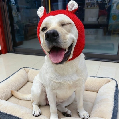 Happy dog in red knit hat with ears, winking while sitting on a plush dog bed indoors