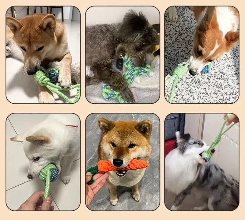 S62f482f18aca4b47a7746de07c66869e2 - bestdoggylife.shop