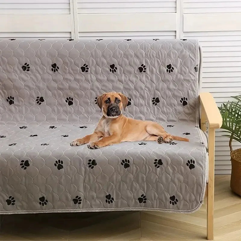 Dog laying on a gray paw print sofa cover, pet couch protector in home setting
