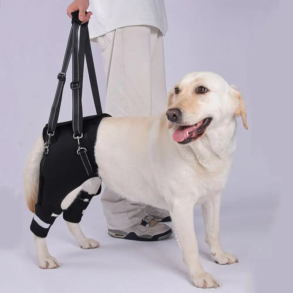 Legs Hip Support Dog Lift Harness Black Adjustable Pet Aid Assist Tool Sturdy Handle Reflective Strip Walking Support Straps