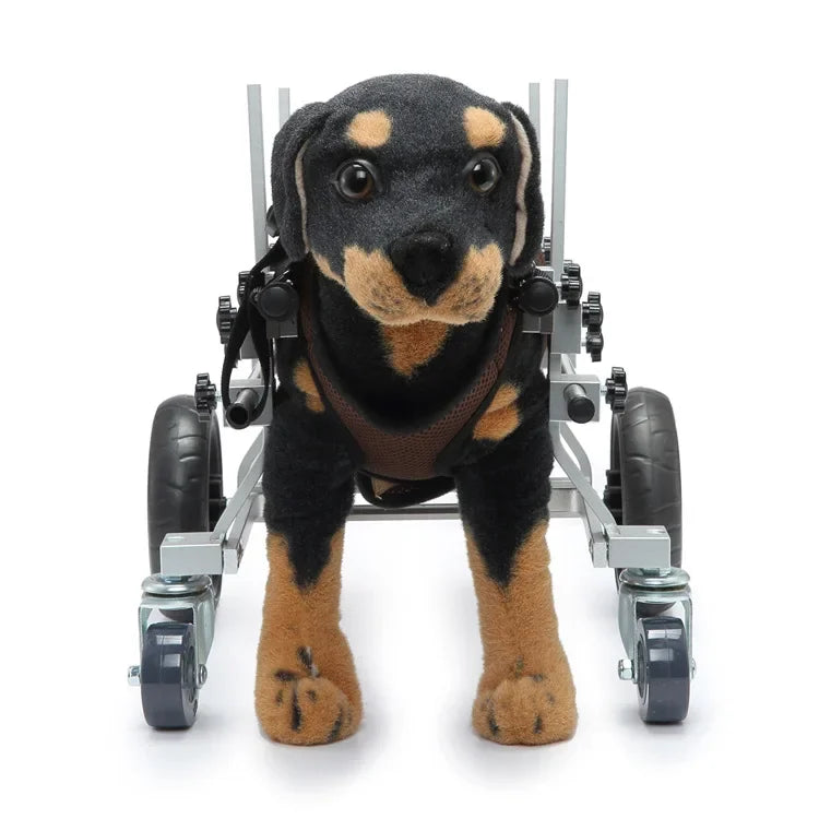 S637d5453b251411bba47ee955d6feb53o - bestdoggylife.shop