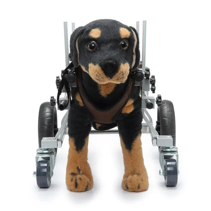 S637d5453b251411bba47ee955d6feb53o - bestdoggylife.shop