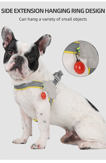 French Bulldog wearing a gray dog harness with side hanging ring and red accessory attached.