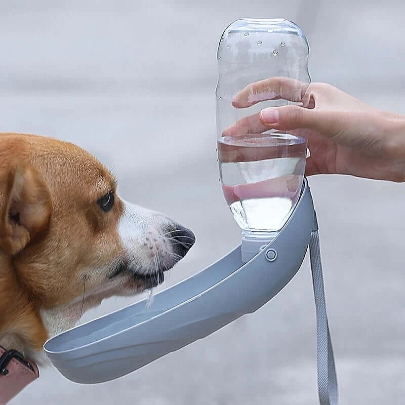 portable dog water bottle for small and large dogs, gray 550ml foldable outdoor travel drinking bowl