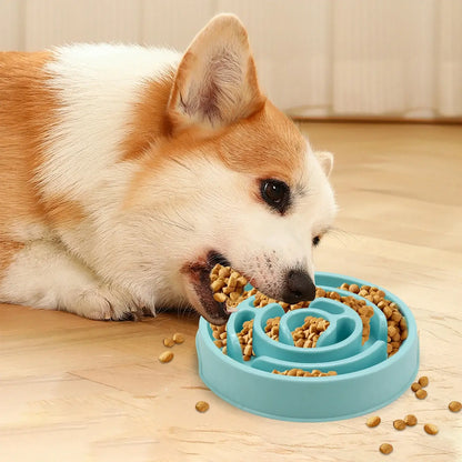 Corgi eating from a slow feeder dog bowl, non-slip maze design to reduce gulping and improve digestion
