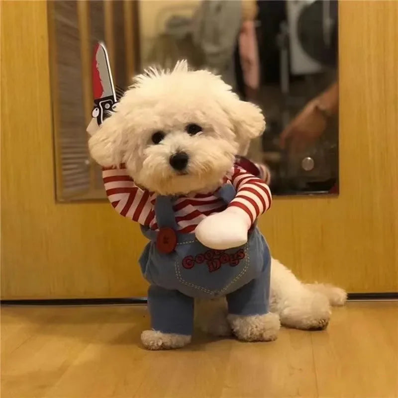 Small fluffy dog wearing a funny striped costume with overalls and plush fake knife accessory.