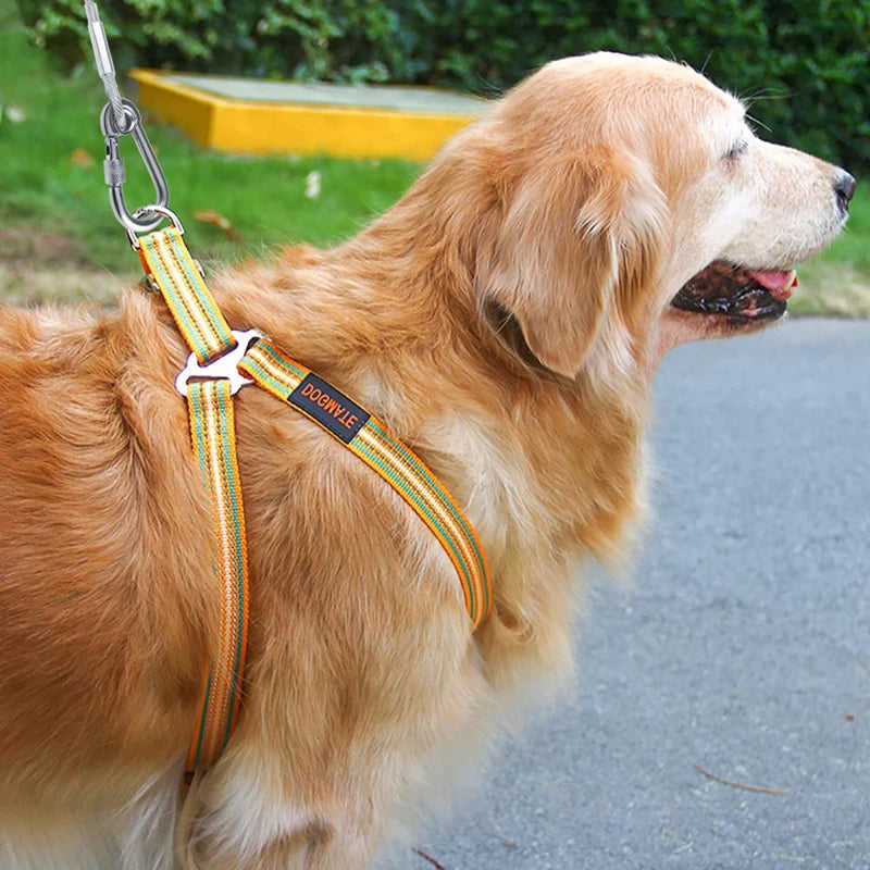 S63f3a25e5fc949a698e05c3a271a0e7fy - bestdoggylife.shop