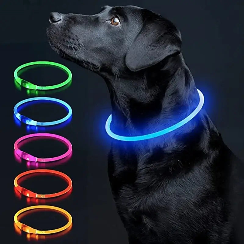 Luminous Dog Collar Light Charge Cat Necklace, Led Fashion Flashing DIY Glowing Safety Collar for Dogs Nighttime Pet Accessorie