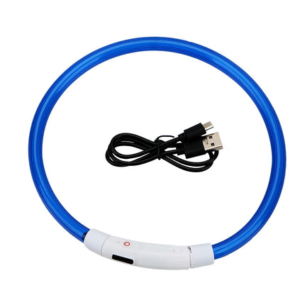 Led Usb Dog Collar Pet Dog Night Luminous Charge Collar Pet Accessorie with blue glowing design and charging cable