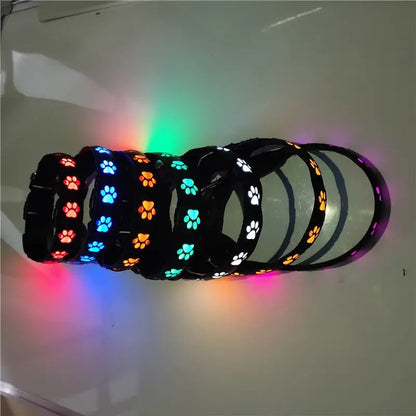 luminous dog collar with colorful LED paw prints for safe night walking, rechargeable pet neck ring