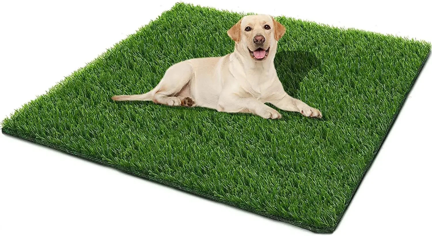S65cde3fbf56048e3b421a67b3bed9214D - bestdoggylife.shop