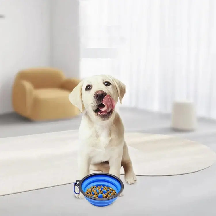 foldable slow feeder bowl for dogs and cats portable anti-choking pet bowl for travel and home use