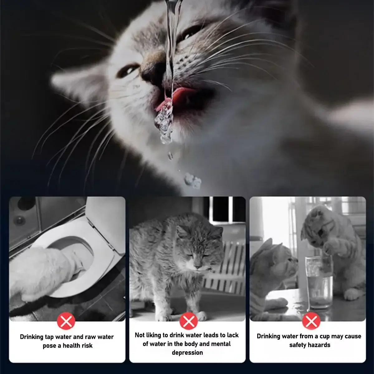 large capacity pet water fountain for cats and dogs with ultra-quiet pump and multiple drinking options