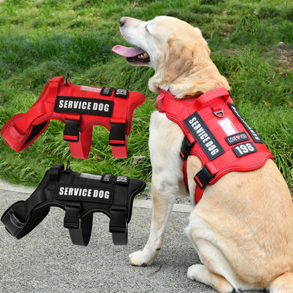 S666495b7b75c4c58969b66b3c0cab4e40_d1bca9ba-0f69-43f8-b710-4d3e24f19ee4 - bestdoggylife.shop