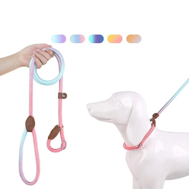 S66e22359d393485988968dacc634d89eQ - bestdoggylife.shop