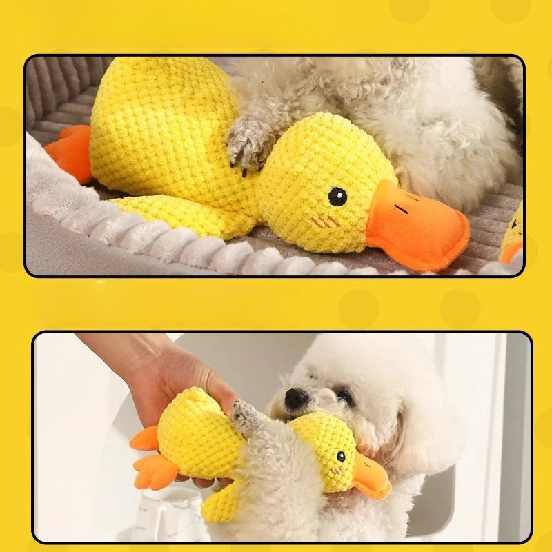 S66e4fefd4c164ca1b5af1febfb70d1b71 - bestdoggylife.shop