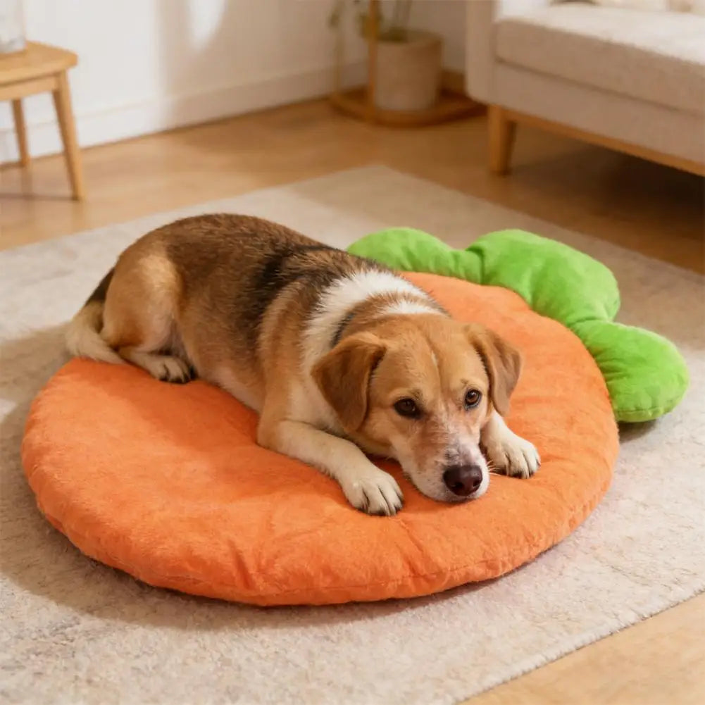 Washable cat bed mat carrot-shaped pet cushion for small and medium pets, soft warm orange sleeping bed
