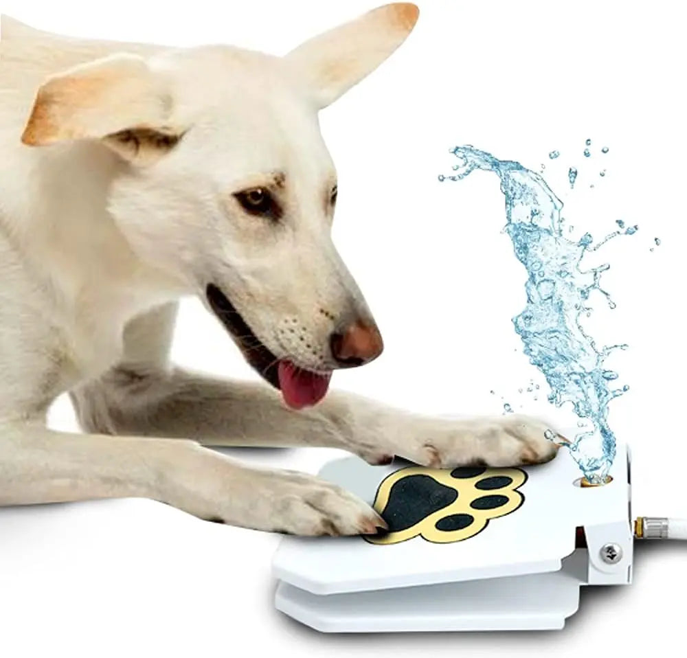 S671a507af0e749d686aeeb66515d5f2cA - bestdoggylife.shop