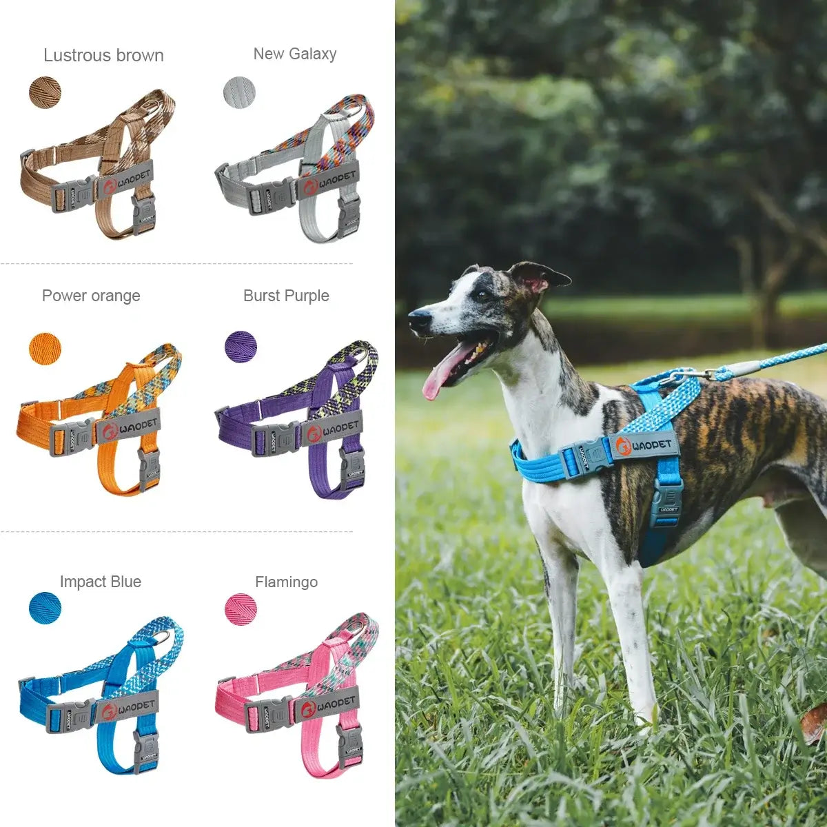 no pull dog harness for medium and large dogs, reflective nylon walking harness with buckle and leash, shown in multiple colors