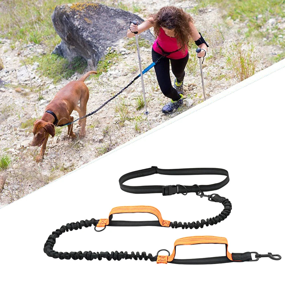 S67e96a5e3dd240098c2df0a0ed81a2cbL_659f63c6-81b0-4b20-a733-e3c43f83d074 - bestdoggylife.shop