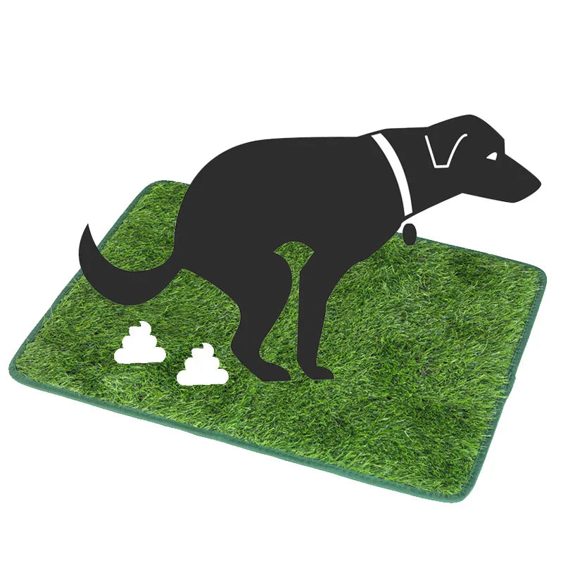 S6916bcec2ee944b0a7d4851e357d4c36x_f3df61ea-c53d-4a0a-bf1b-74c97b891d6a - bestdoggylife.shop