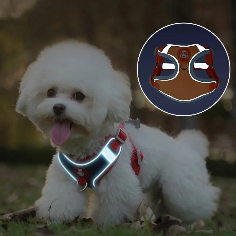 Adjustable reflective dog vest harness for small dogs, comfortable red walking harness with secure buckle