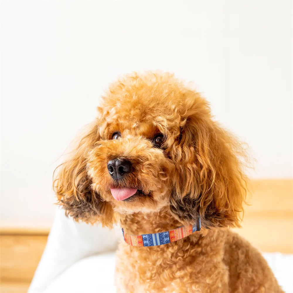 Printed Pet Collars Nylon Adjustable Dog Collars Strong and Durable for Medium and Large Dog Collars Pet Accessories Supplies