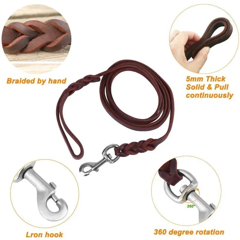 S6b3f113b2a5e41ca8579ace28e5604e3k - bestdoggylife.shop