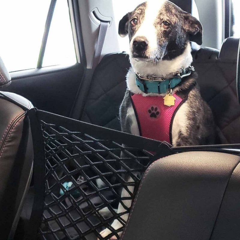 S6c270dff742c4bb8b4572530403f134eB - bestdoggylife.shop
