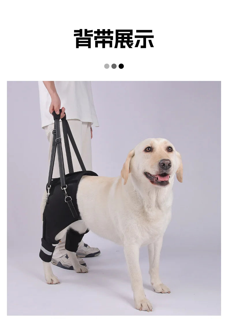 S6c40b98c82f747b687e23c8f37c9f7e7g - bestdoggylife.shop