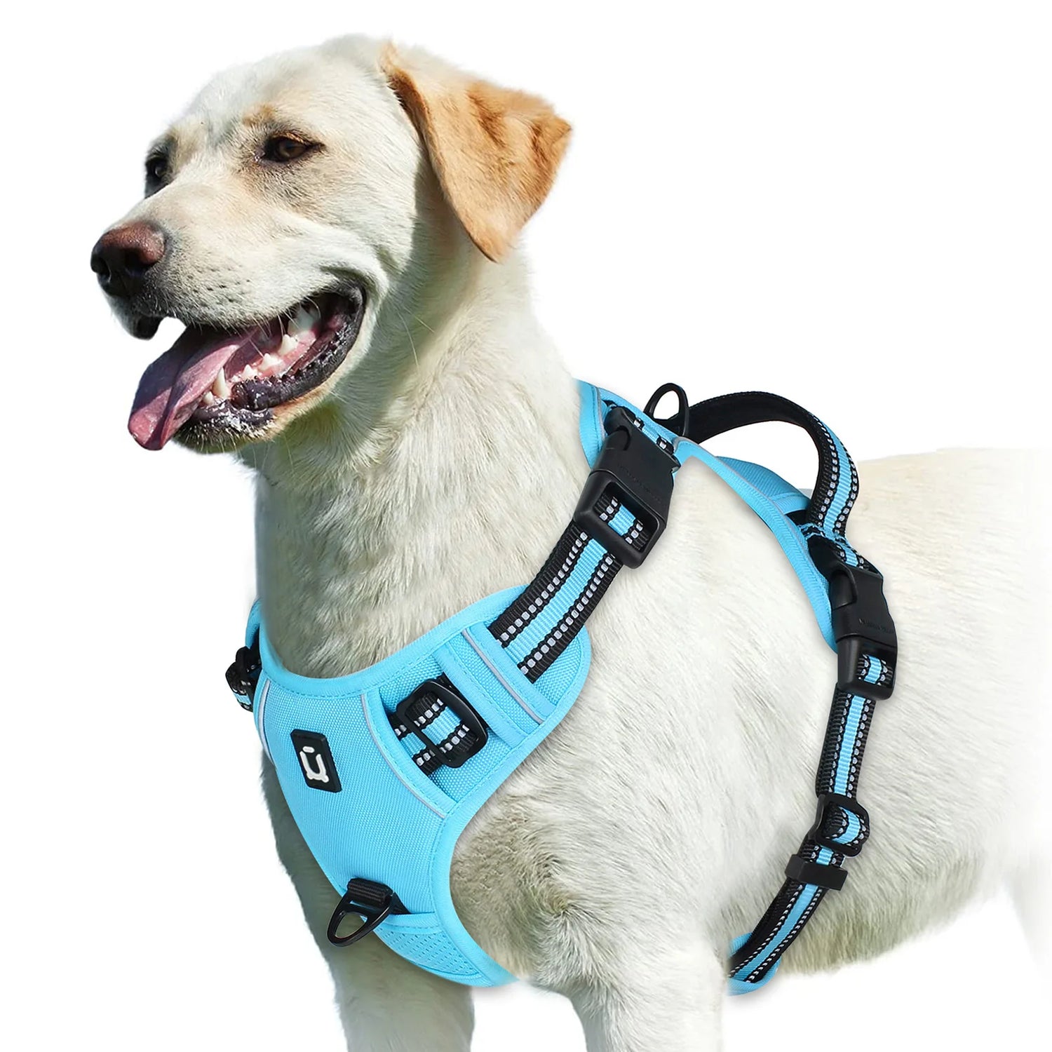 No Pull Dog Harness, Adjustable Soft Padded Pet Vest with Easy Control Handle on a happy Labrador.