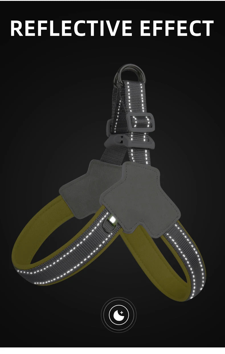 Reflective dog harness with adjustable straps, high visibility safety for night walks.