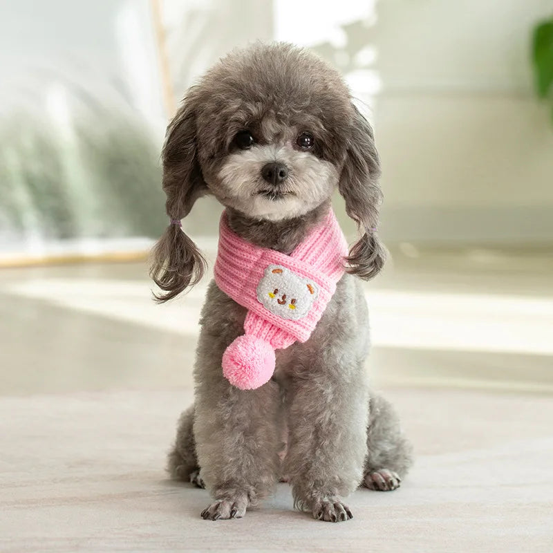 Small poodle wearing a cute pink knitted dog scarf with cat face patch and pompom indoors