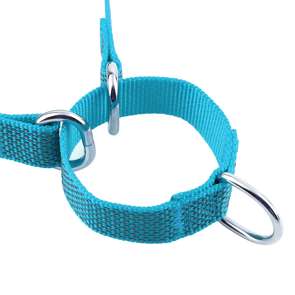 reflective nylon dog collar with handle blue adjustable dog training collar with metal rings for small medium large dogs