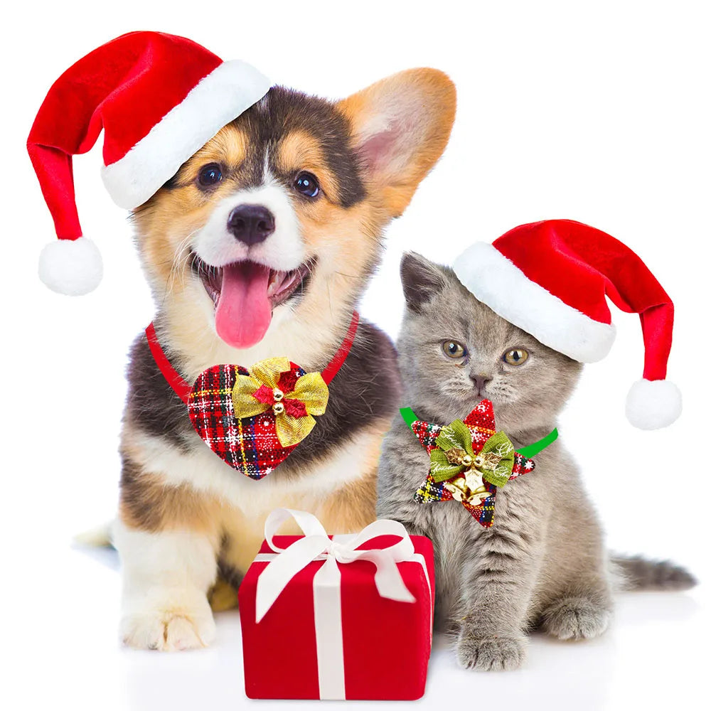christmas dog bowties with bell on puppy and kitten wearing Santa hats with festive gift