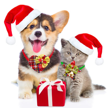 christmas dog bowties with bell on puppy and kitten wearing Santa hats with festive gift