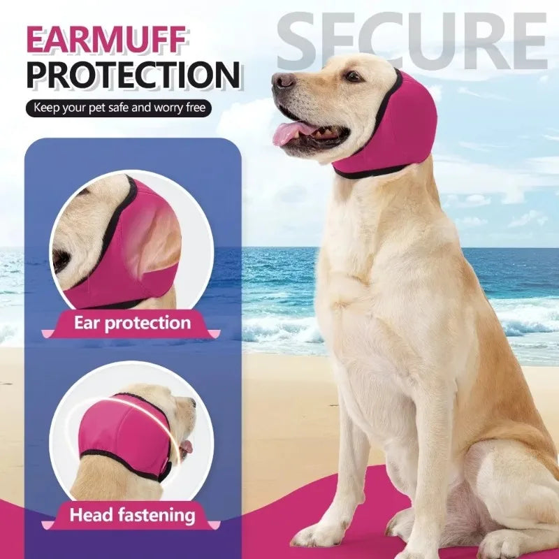 S707e543b7c944c66bd72fdd506b8b882Y_7bdd01e3-4281-442d-8b18-069712f32c99 - bestdoggylife.shop