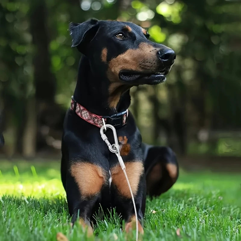 S708991122695453ea9f5694caa566a17M - bestdoggylife.shop