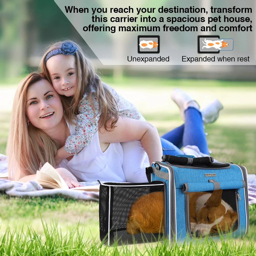 S70f5d757ad6a4db1a3aad509ee653a590 - bestdoggylife.shop