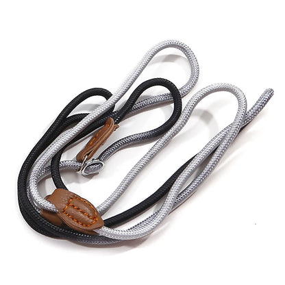 S71067baf69c44a4ba89755205cf007465 - bestdoggylife.shop