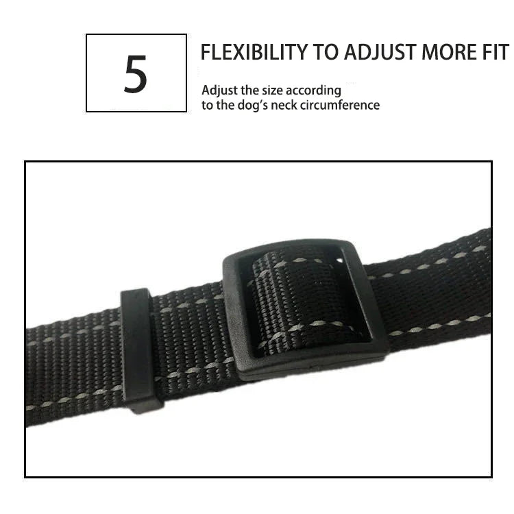 S711b25a38e6040dd8c0004317ea4f5c5x - bestdoggylife.shop