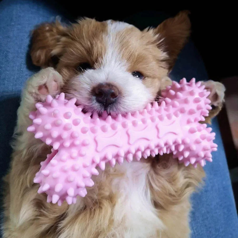 Cute puppy holding a pink spiky rubber chew toy, dog toy for small dogs