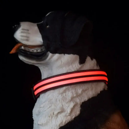 luminous dog collar glowing red LED collar for walking, adjustable nylon pet neck ring for dogs