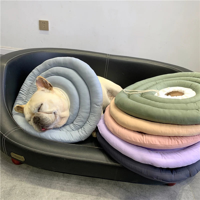 S722b5049680d472fb11d6bab8f3d9ec3d - bestdoggylife.shop