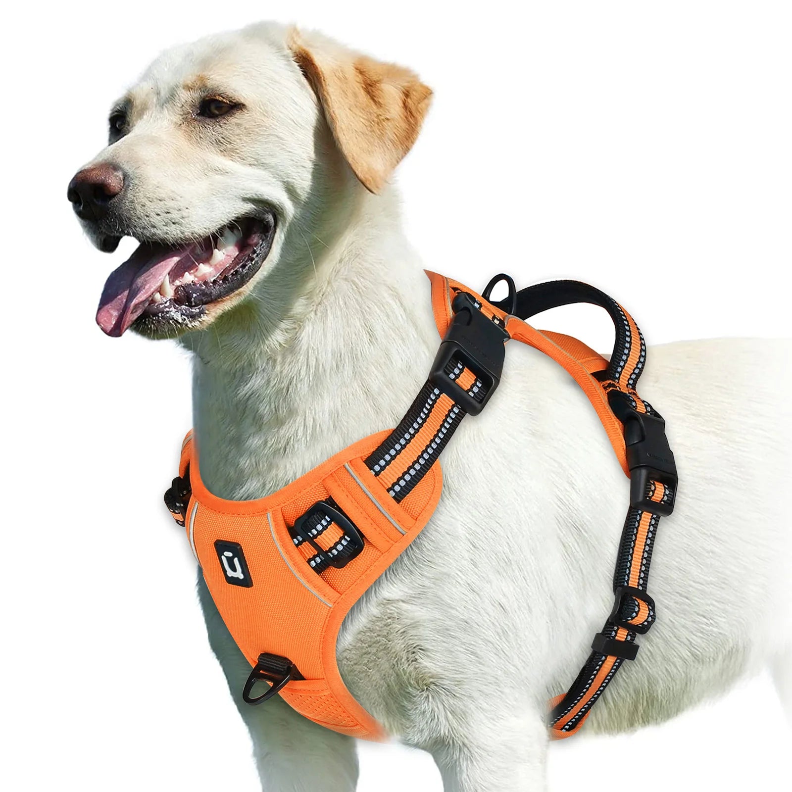 S72a1c3dec0474e1db4565ad034673118n - bestdoggylife.shop