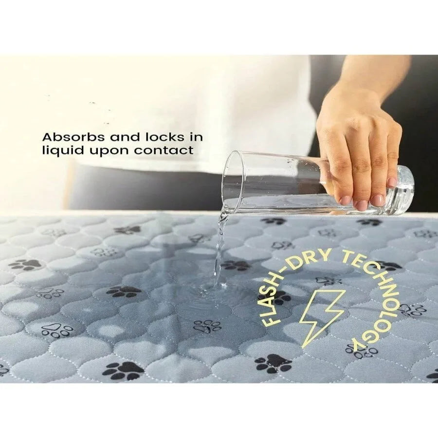 Hand pouring water on absorbent dog mat with paw prints and flash-dry technology text