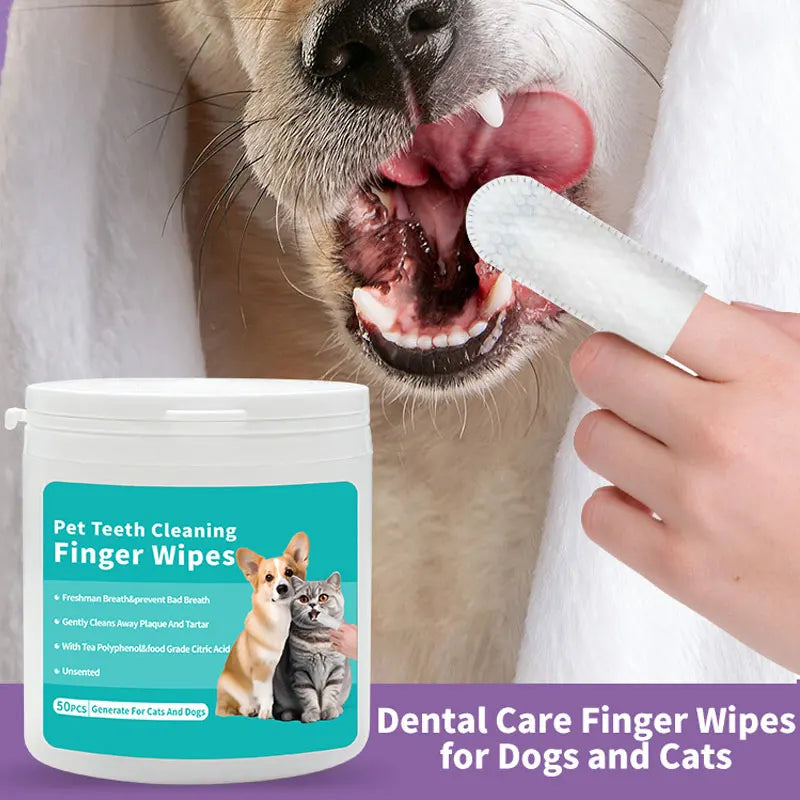 Person cleaning dog&