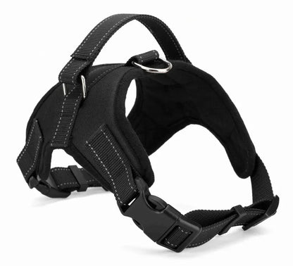 S7385e217649a4034a99504d505adb2c1g - bestdoggylife.shop